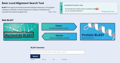 NCBI BLAST工具全攻略 从在线使用到MATLAB集成详解