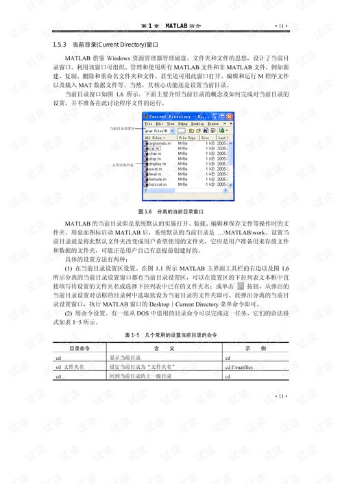 MATLAB教程 从入门到精通的快速指南